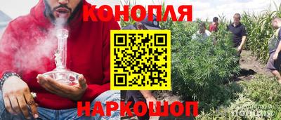 прущие грибы Балаково