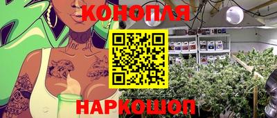 прущие грибы Балаково