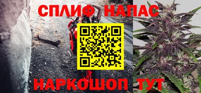 прущие грибы Балаково