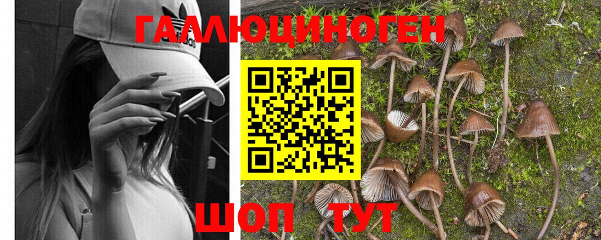 Дзержинский  как найти   Вход с VPN  Псилоцибиновые грибы мухоморы 